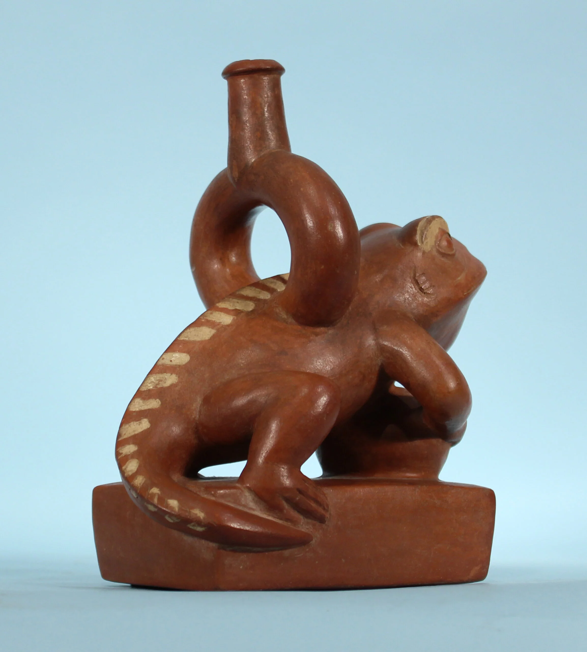 Moche Stirrup Vessel: Tadpole – view 5