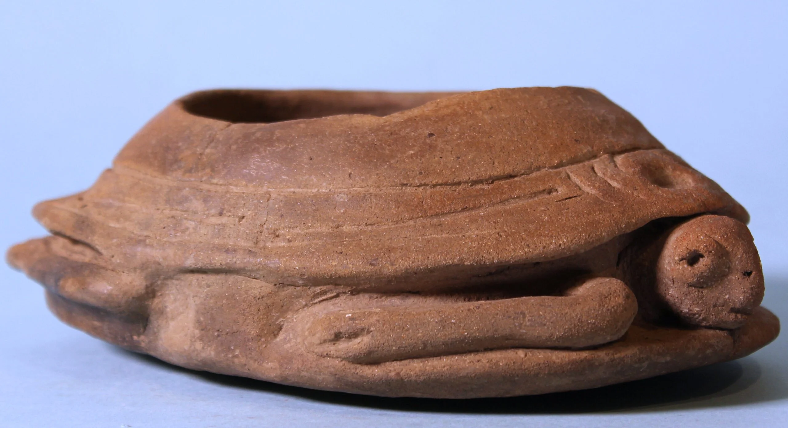 Taino Turtle Bowl