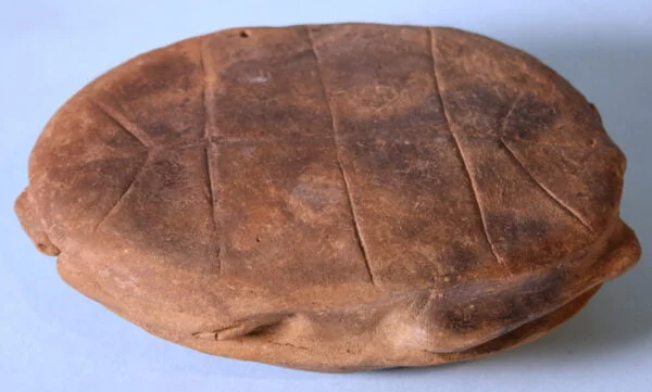 Taino Turtle Bowl – view 5