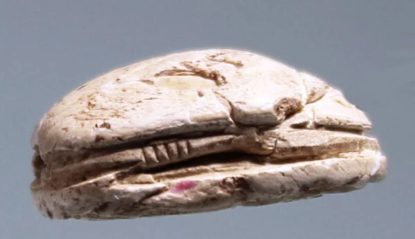 Egyptian Steatite Scarab – view 2