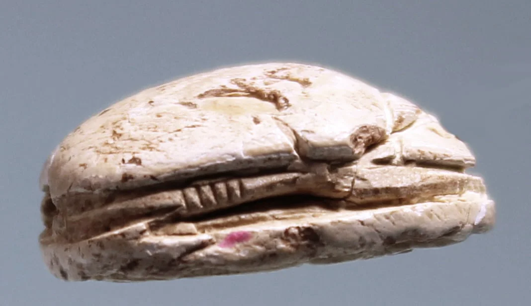 Egyptian Steatite Scarab – view 2