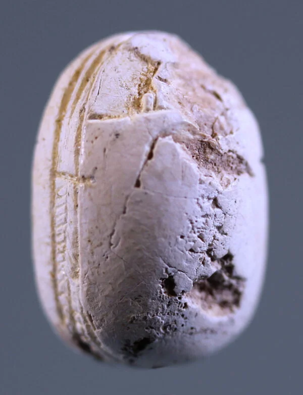 8376b