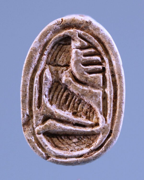 Egyptian Steatite Scarab