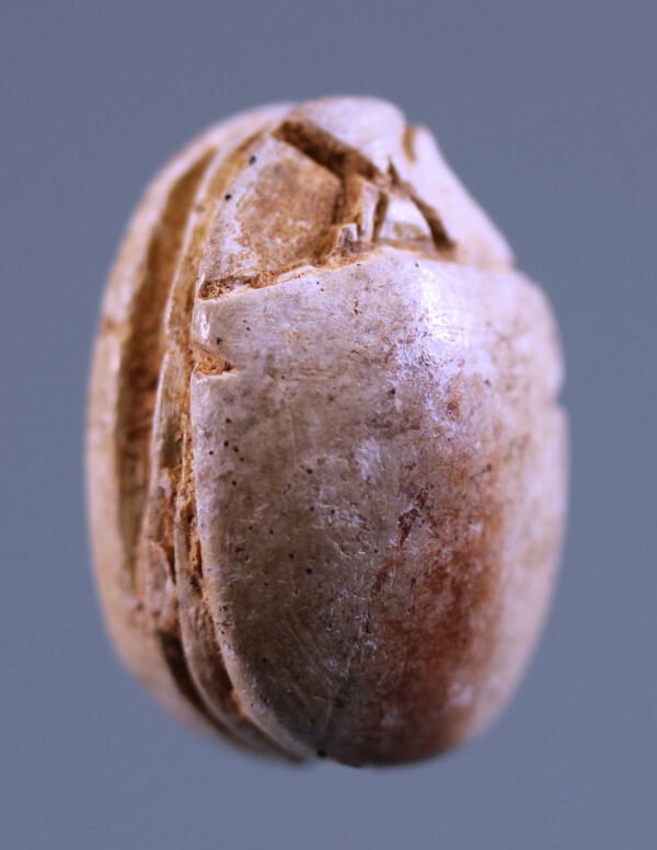 Egyptian Steatite Scarab – view 2