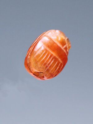 Egyptian Carnelian Scarab