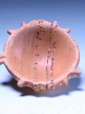 Egyptian Alabaster Dish