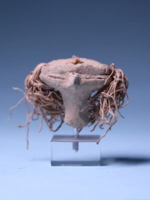 Egyptian Hyksos Terracotta Head