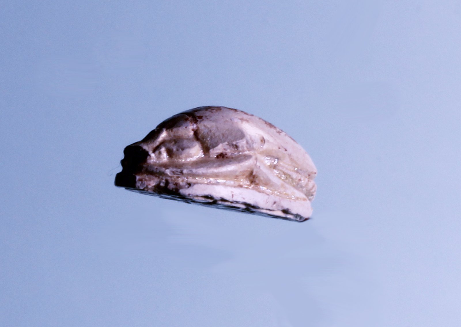 9659b