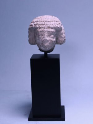 Egyptian Limestone Head