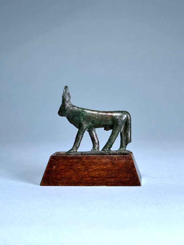 Egyptian Bronze Apis Bull – view 2