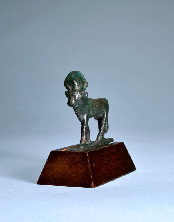 Egyptian Bronze Apis Bull – view 5